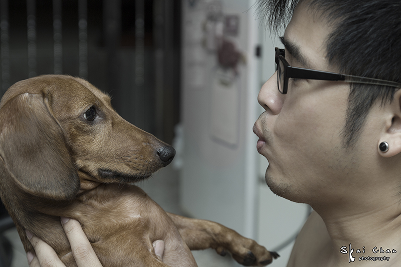 Pet photoshoot session with Luckie Chan Pet photoshoot session with Luckie Chan