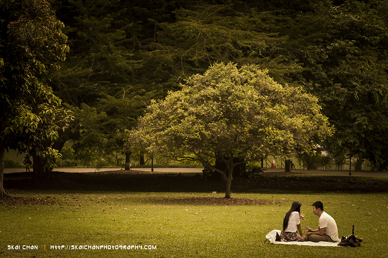 Couple photoshoot at Singapore Botanic Gardens Couple photoshoot at Singapore Botanic Gardens