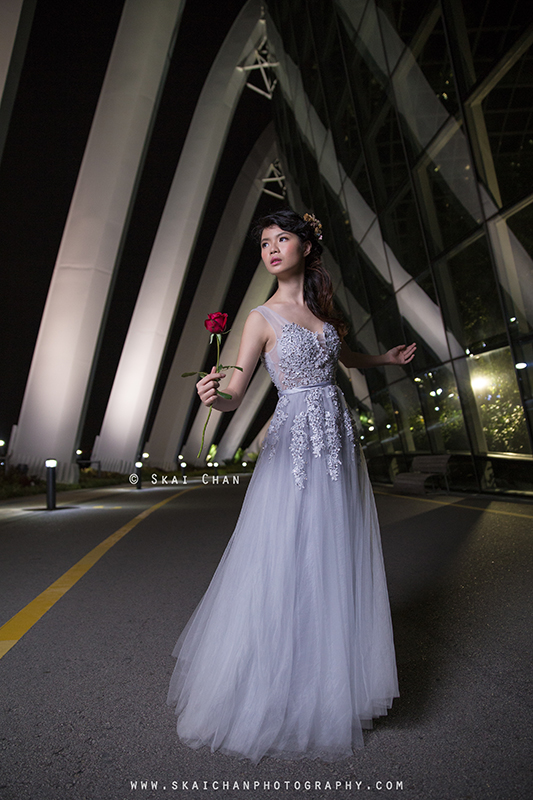 Night bridal photoshoot session with Robyn Skye at Gardens by the Bay Night bridal photoshoot session with Robyn Skye at Gardens by the Bay