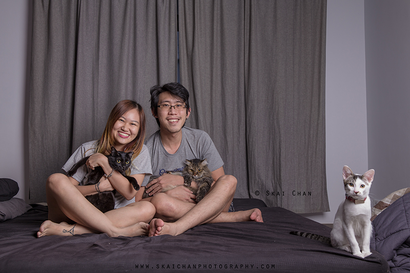 tengah home portrait promotion tengah home portrait promotion