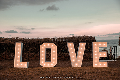 professional wedding photographers professional wedding photographers