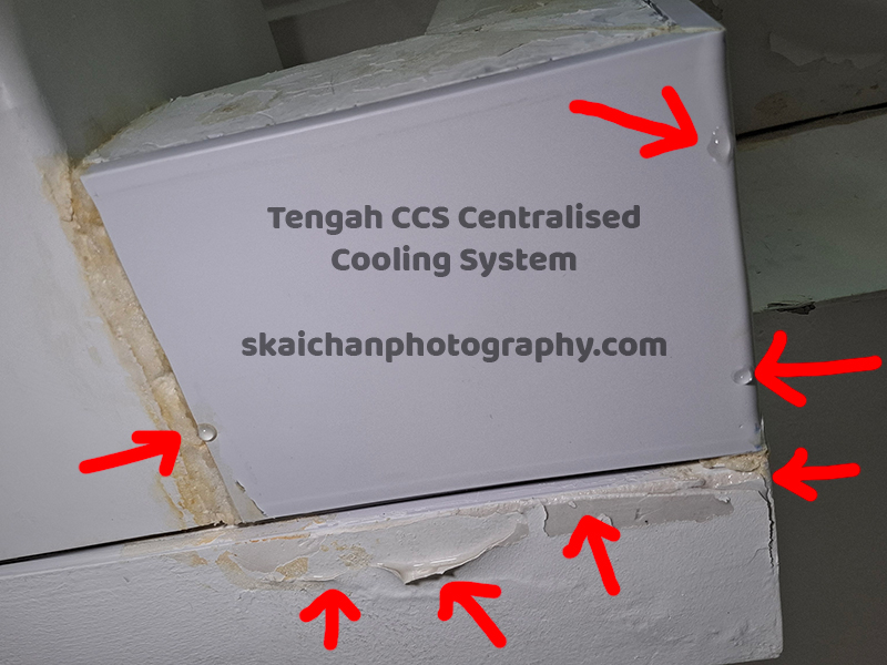 Tengah CCS Centralised Cooling System Leaking in Singapore Tengah CCS Centralised Cooling System Leaking in Singapore